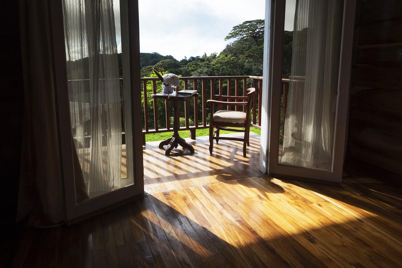 Hotel Bosque Verde Lodge Monteverde Bagian luar foto
