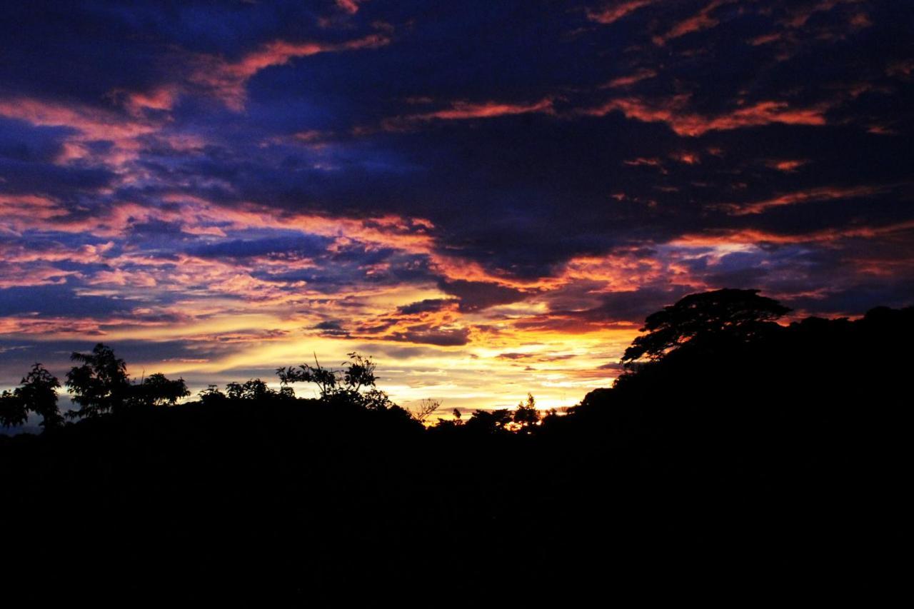 Hotel Bosque Verde Lodge Monteverde Bagian luar foto